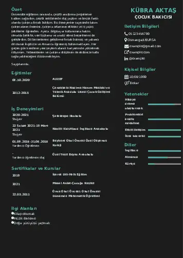 Çocuk Bakıcısı CV Örnekleri cv indir